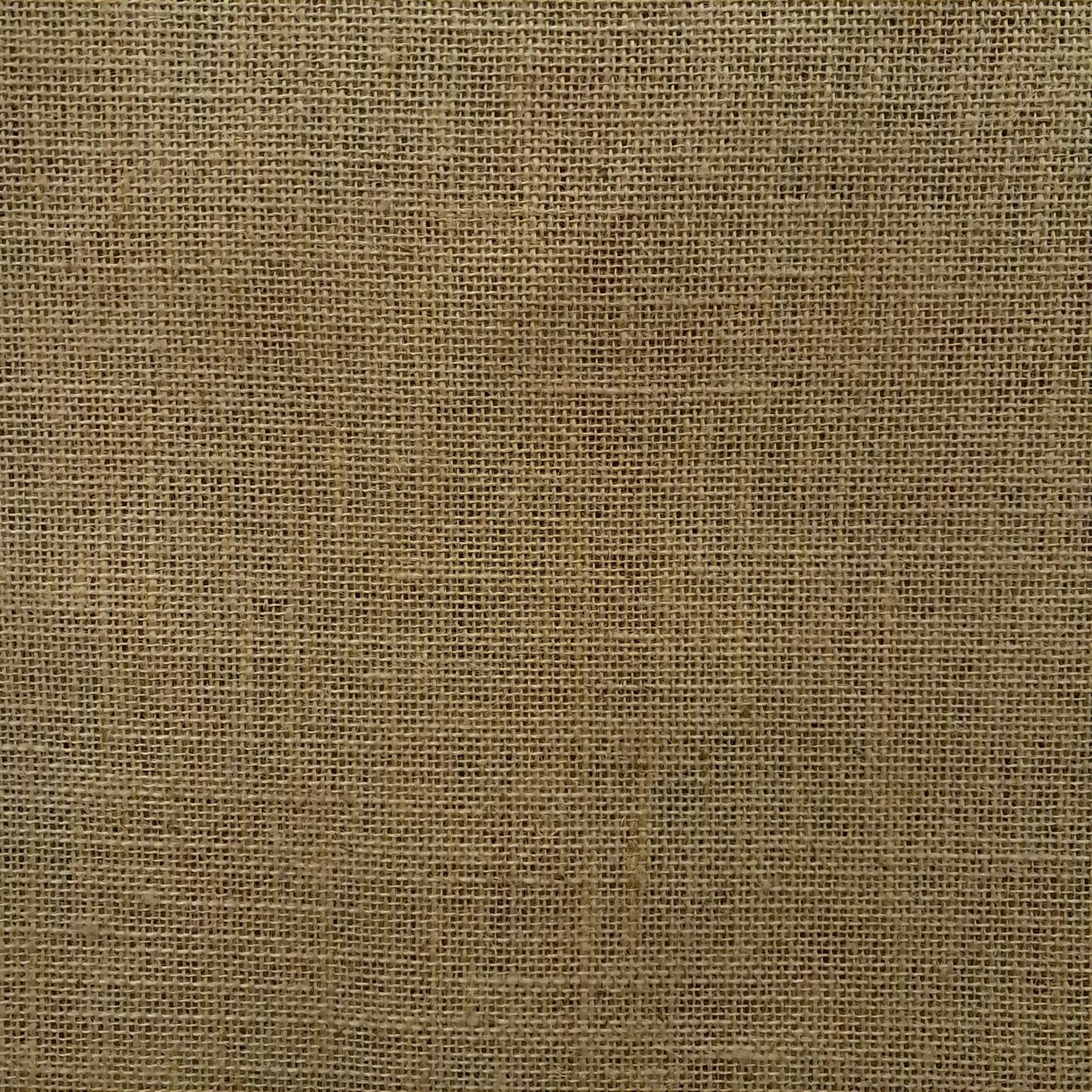 Juta Lisa