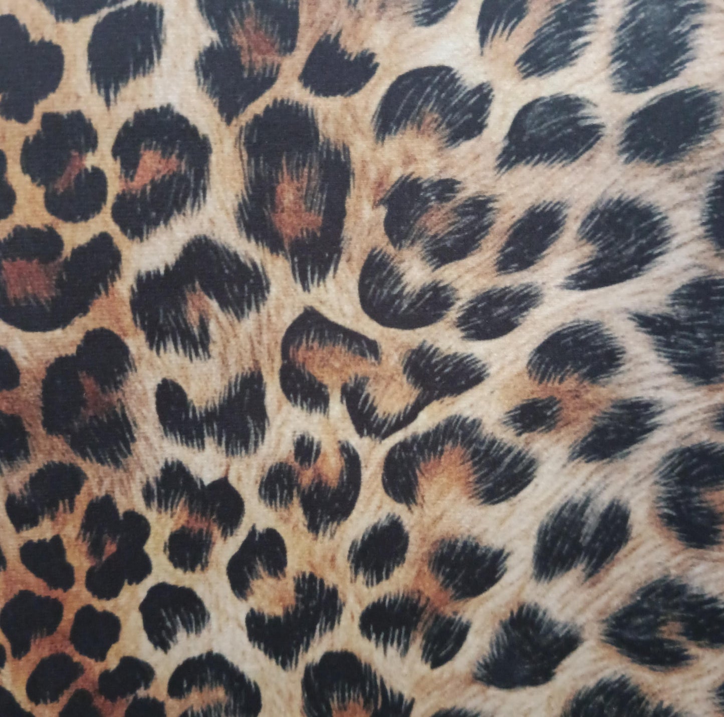 Tecido Para Sofá Veludo Estampado Onça