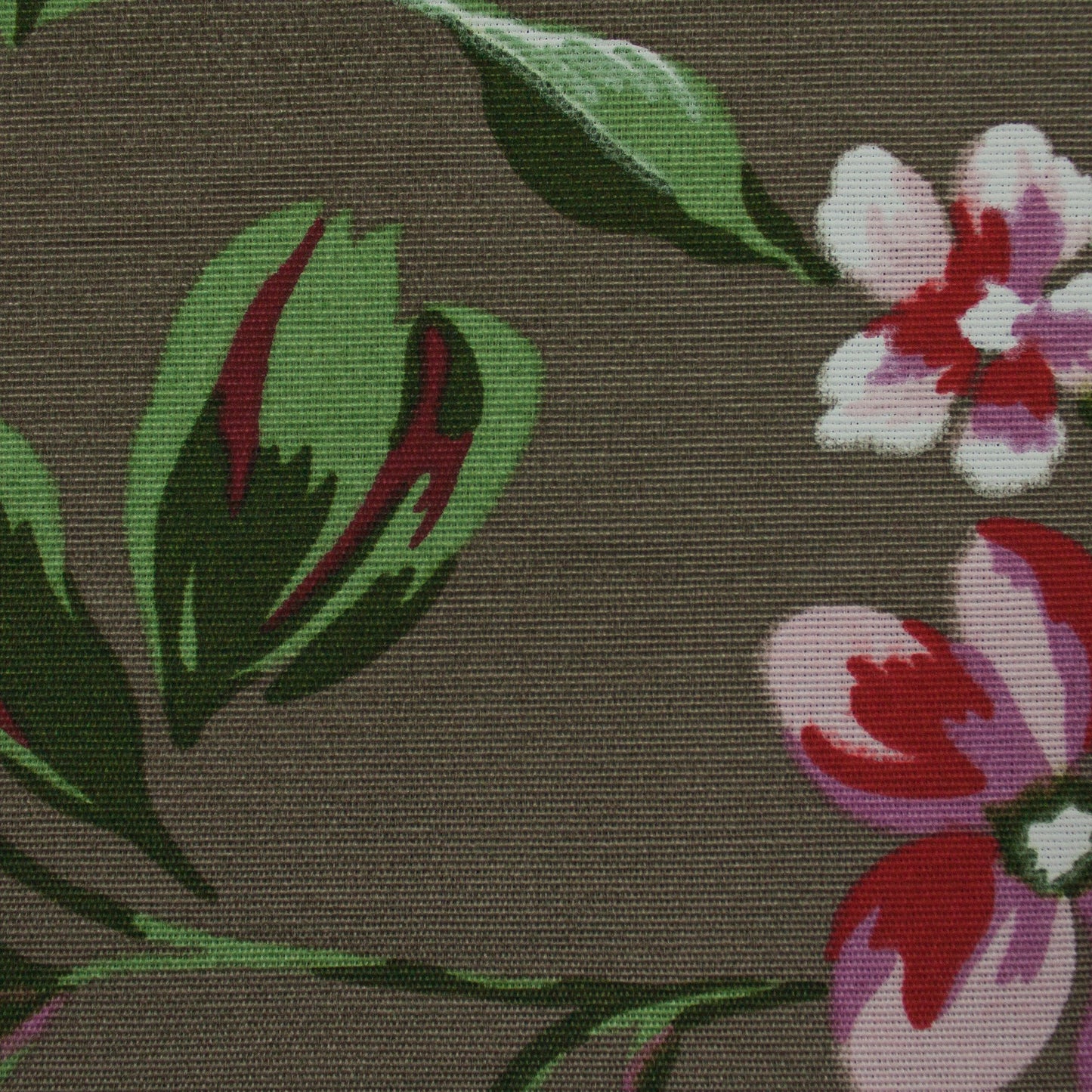 Tecido Para Sofá Gorgurão Belize Floral Fendi - Döhler