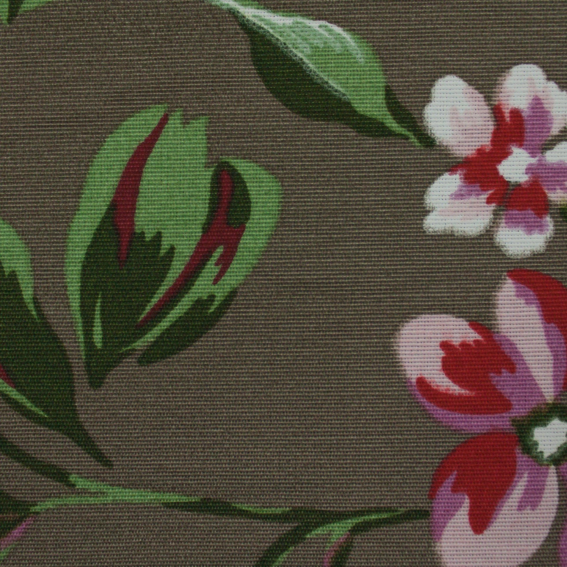 Tecido Para Sofá Gorgurão Belize Floral Fendi - Döhler