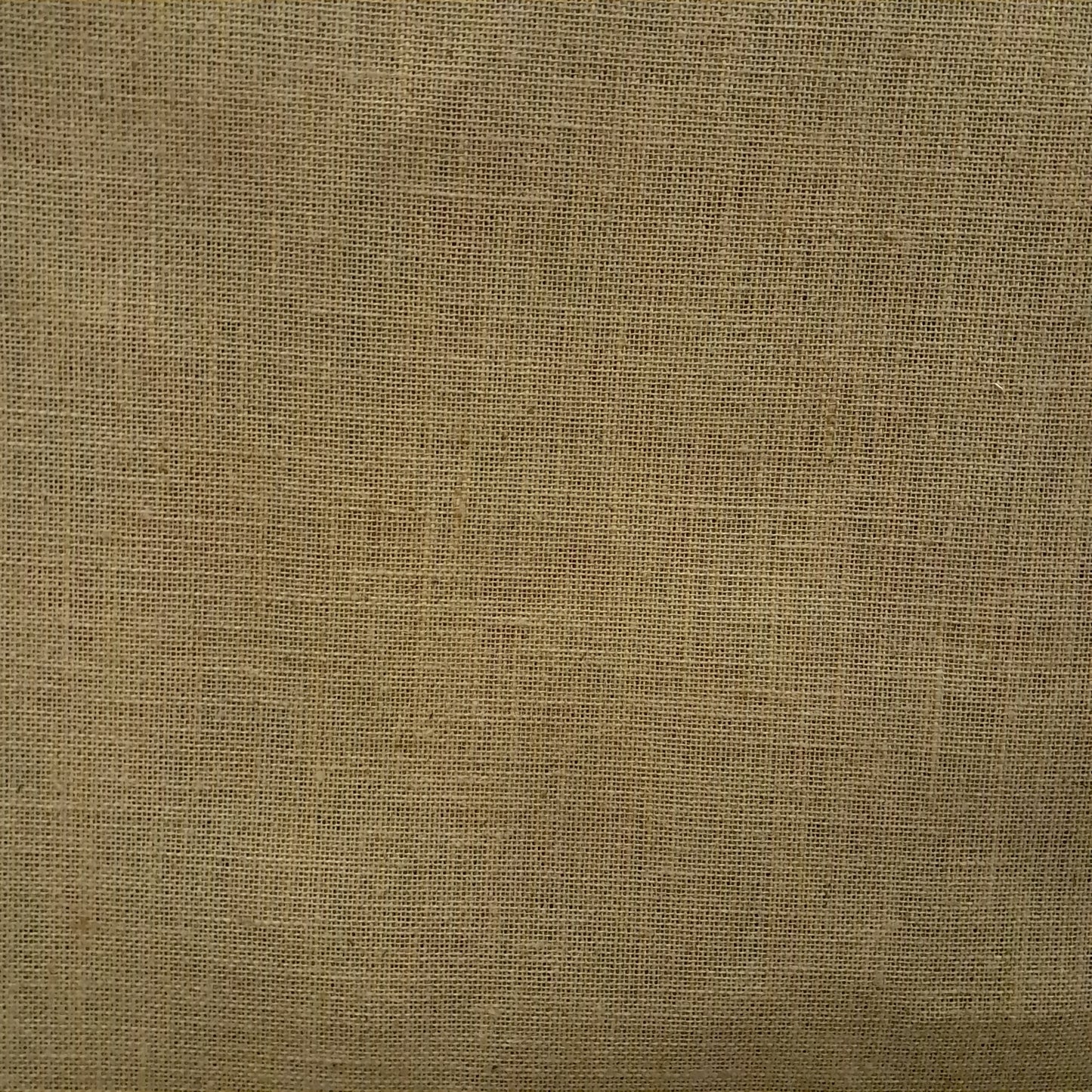 Juta Lisa